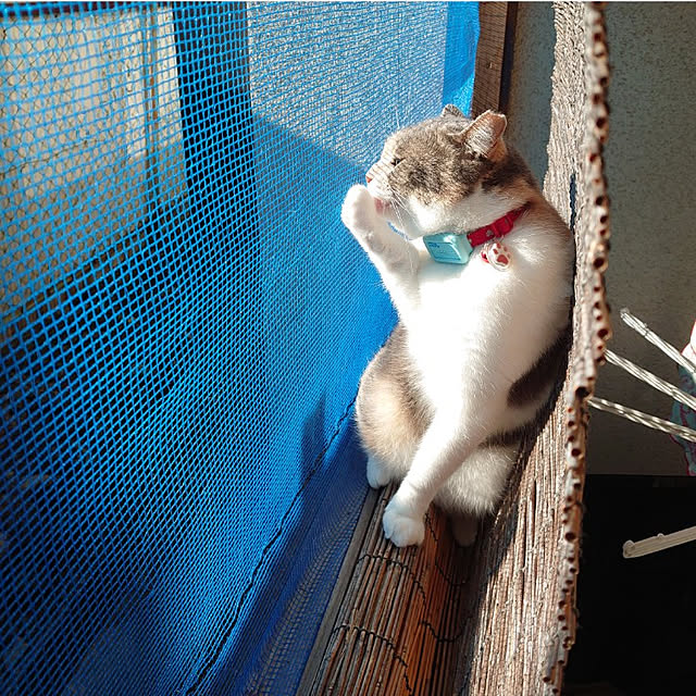 fukuさんの実例写真