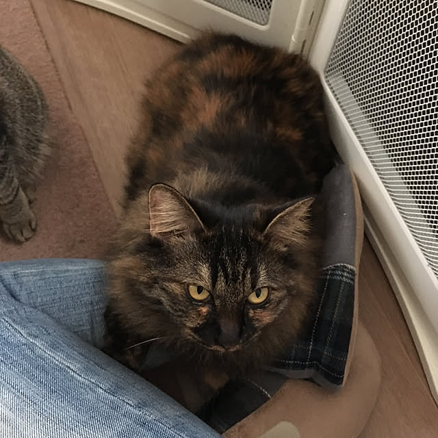 mikomaruさんの実例写真