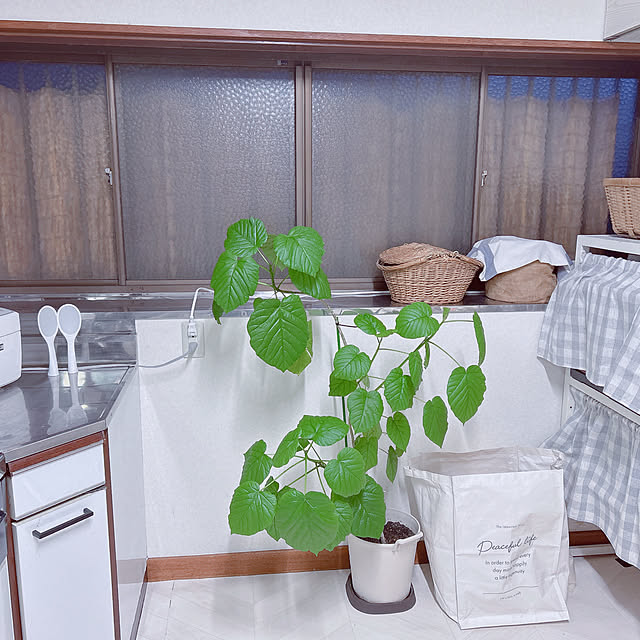 aiさんの実例写真