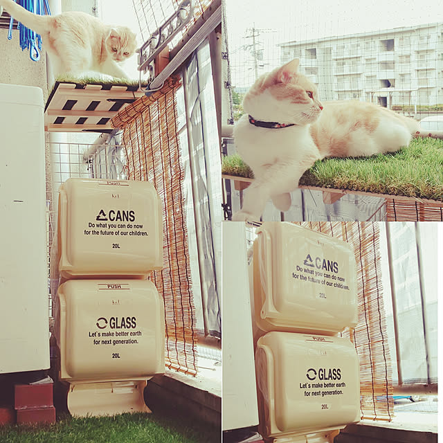 kobakissaさんの実例写真