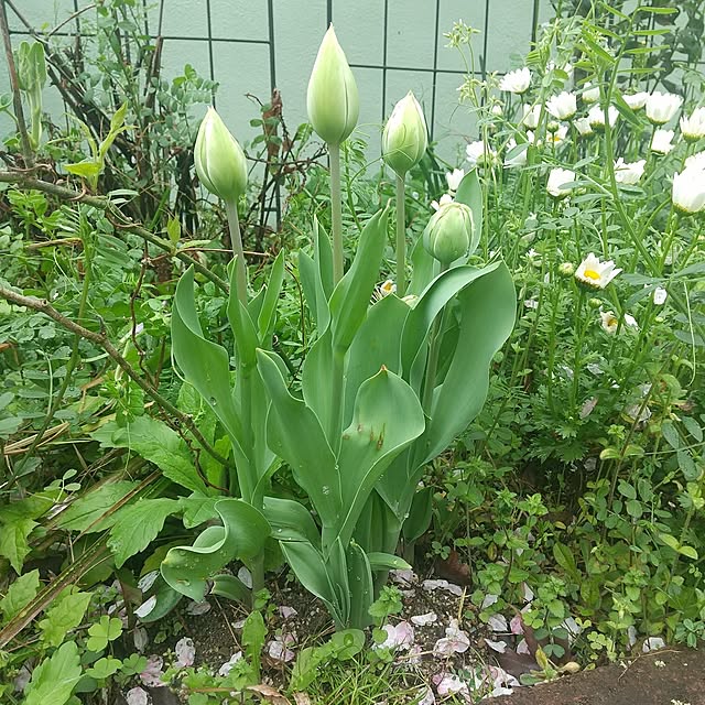 Rさんの部屋