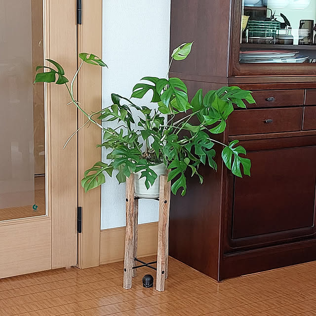 ayaさんの実例写真