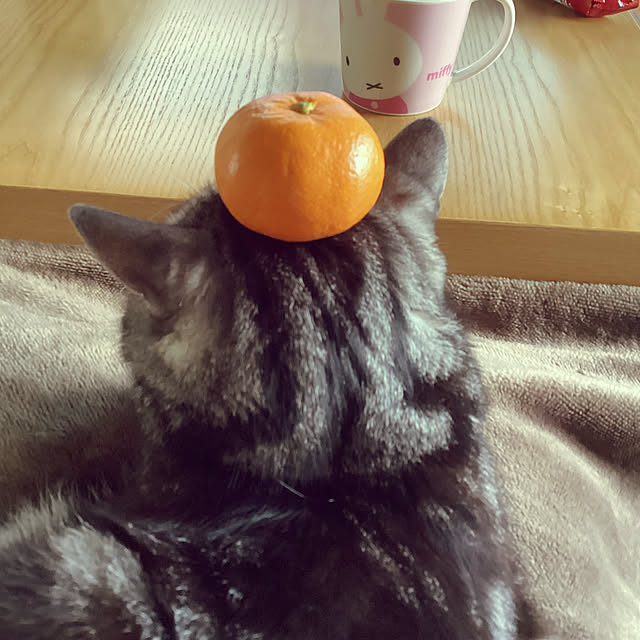 richanさんの部屋