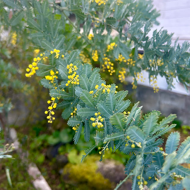 banbinaさんの部屋