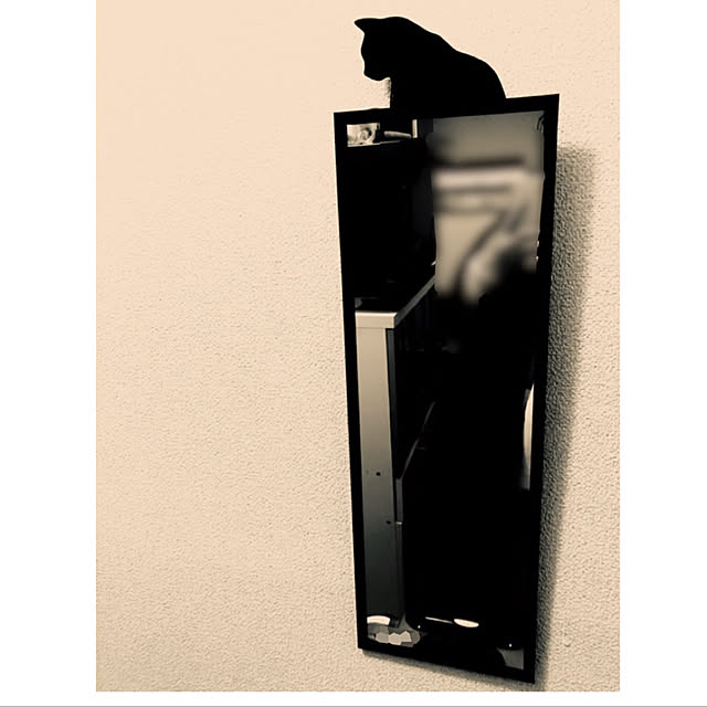 wasifionさんの実例写真
