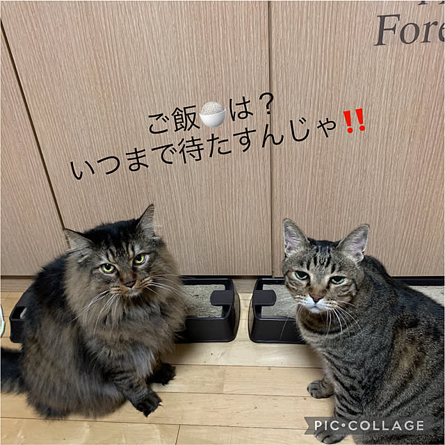 yukarin-gardenさんの実例写真
