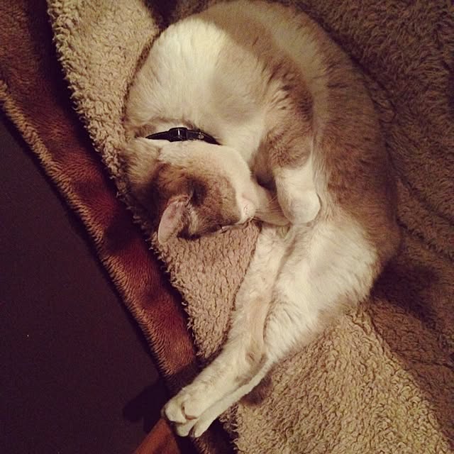 sunmoonさんの実例写真