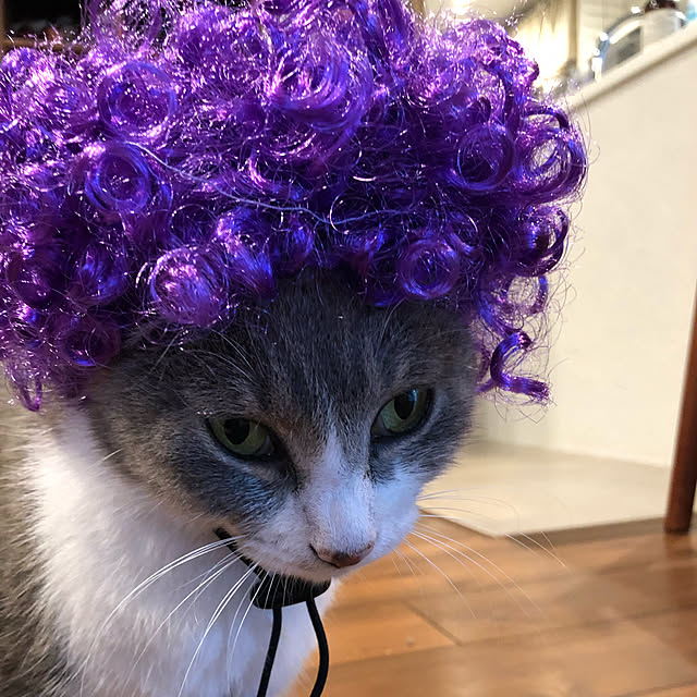 natsumama6566さんの実例写真