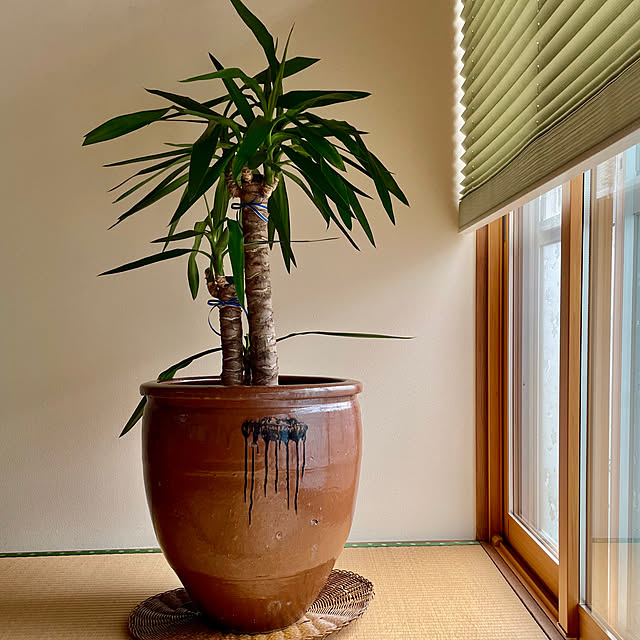 hachitomo9324さんの実例写真