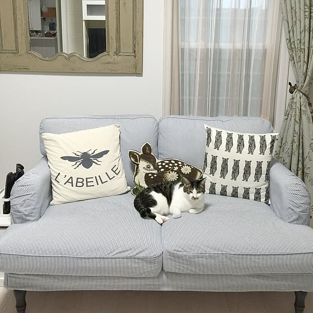 yuchiさんの実例写真
