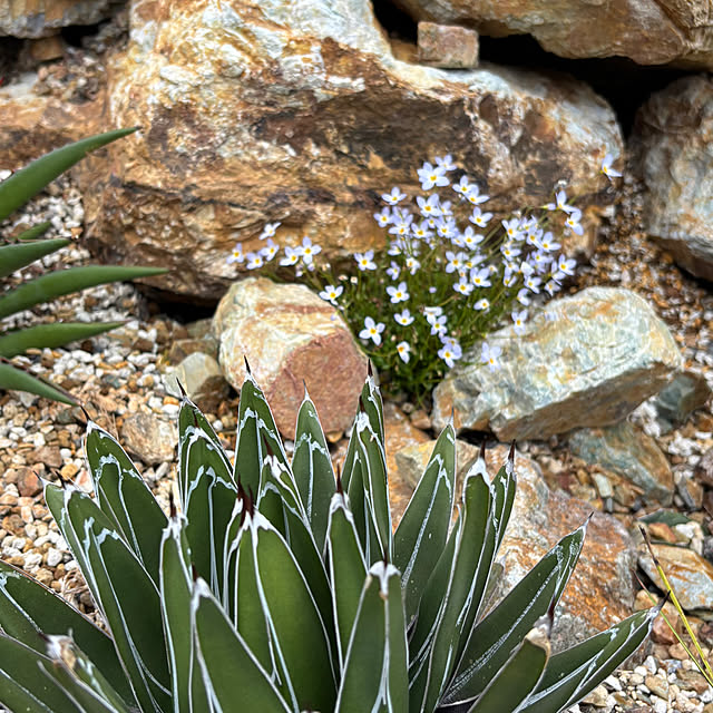 bonber0212さんの実例写真