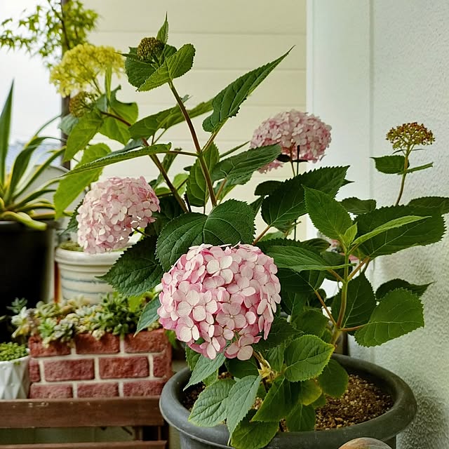 VERANDARJUNさんの実例写真