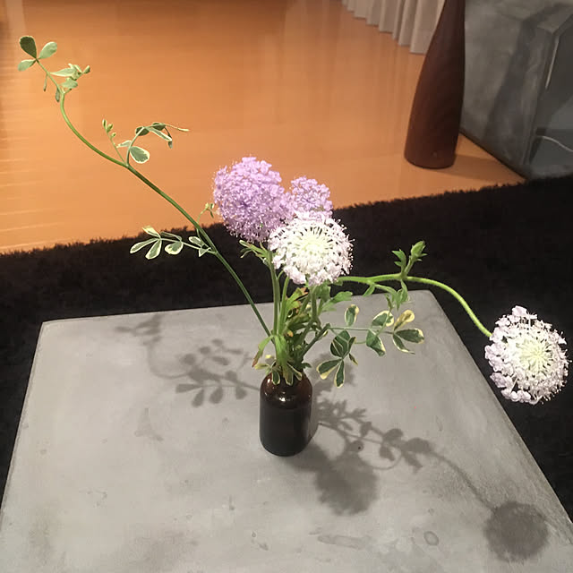 roxane226さんの実例写真