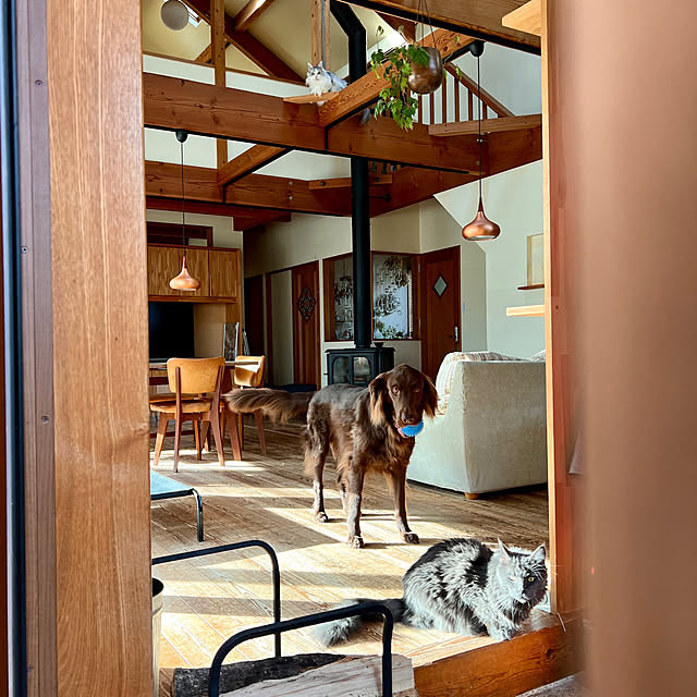 Kikko.さんの部屋