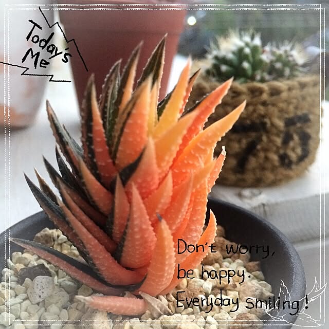yumiさんの実例写真