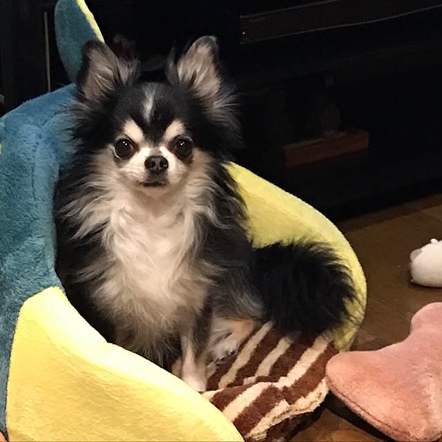 momoさんの実例写真