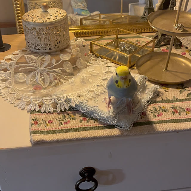 Atsukoさんの部屋