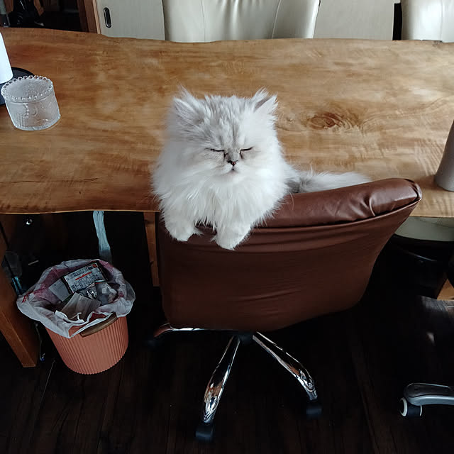 makaronさんの実例写真