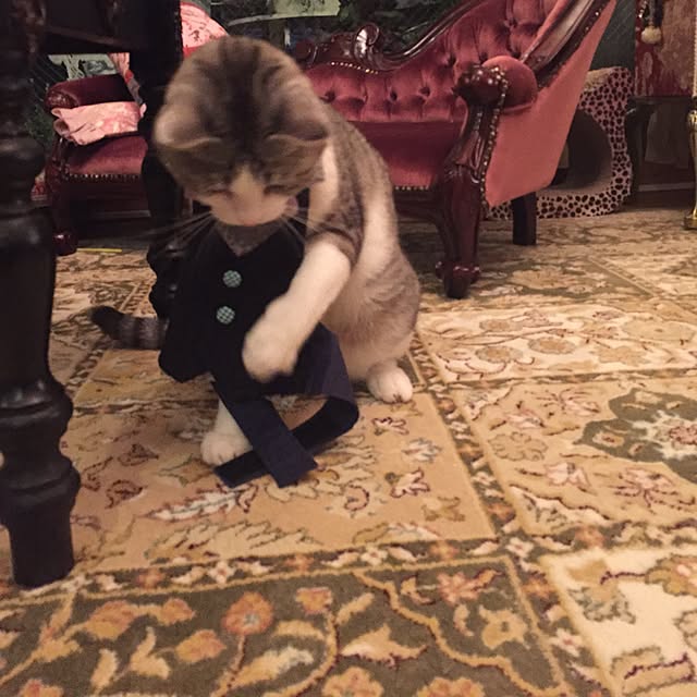 emmyyさんの実例写真