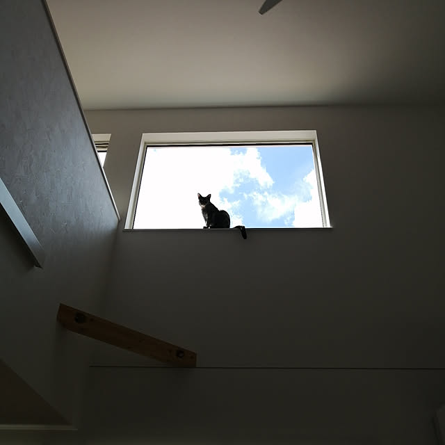asukaさんの実例写真