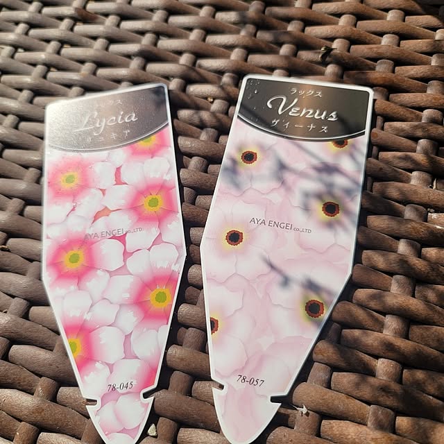 VIORAさんの部屋