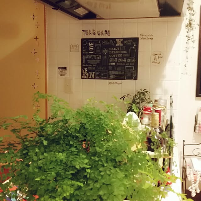 yureruasahiさんの実例写真
