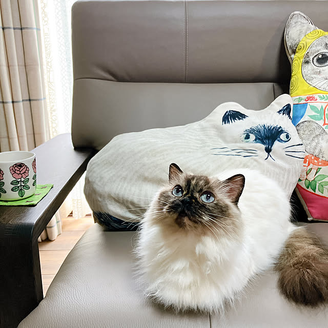 kamomeさんの実例写真