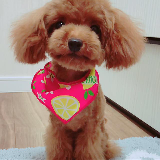 hideさんの実例写真