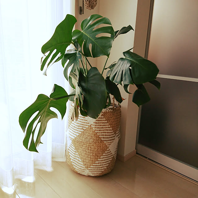 部屋全体のインテリア実例 - 2017-08-04 17:05:19