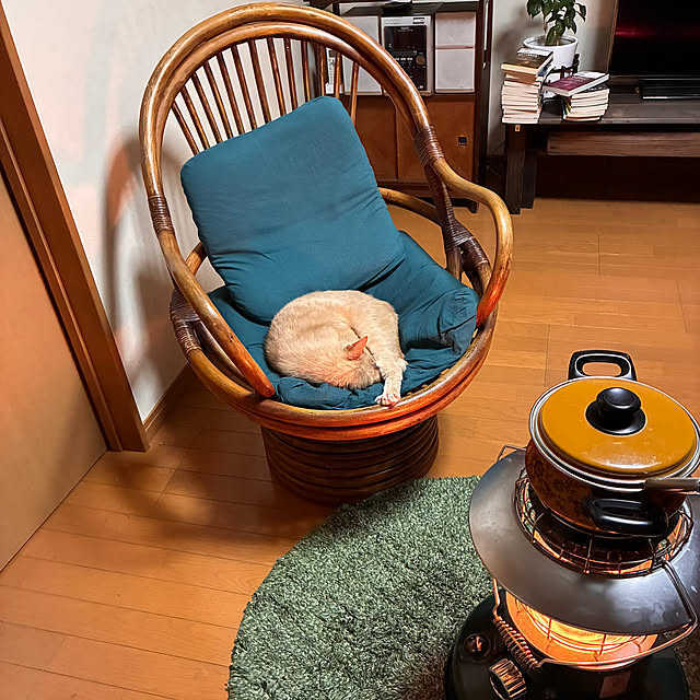 mikan161さんの実例写真