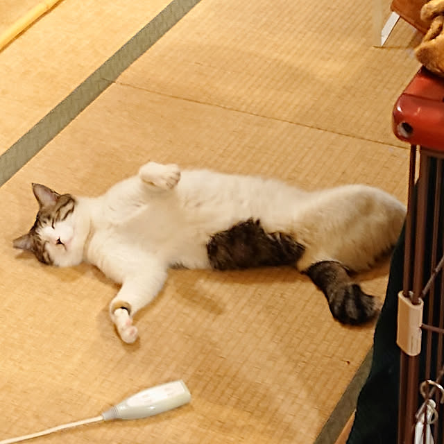 okyosan101さんの実例写真