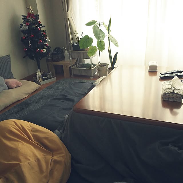 powakyonさんの実例写真