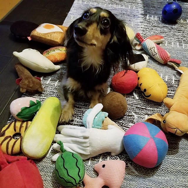 momozouさんの実例写真
