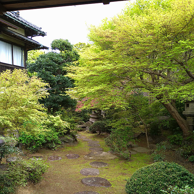 y.ebihara0811さんの実例写真