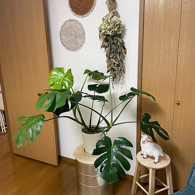 chi.pa.ruさんの部屋