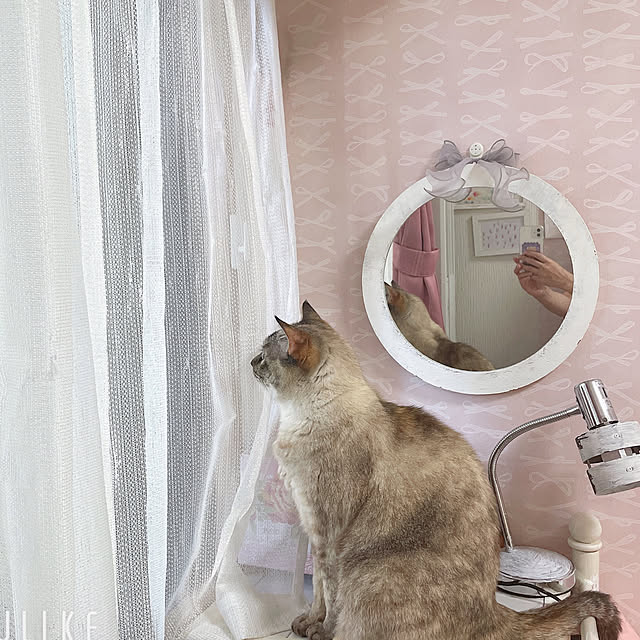 noelさんの部屋