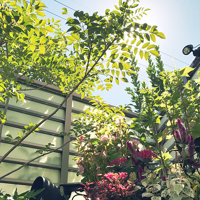 flowerさんの実例写真