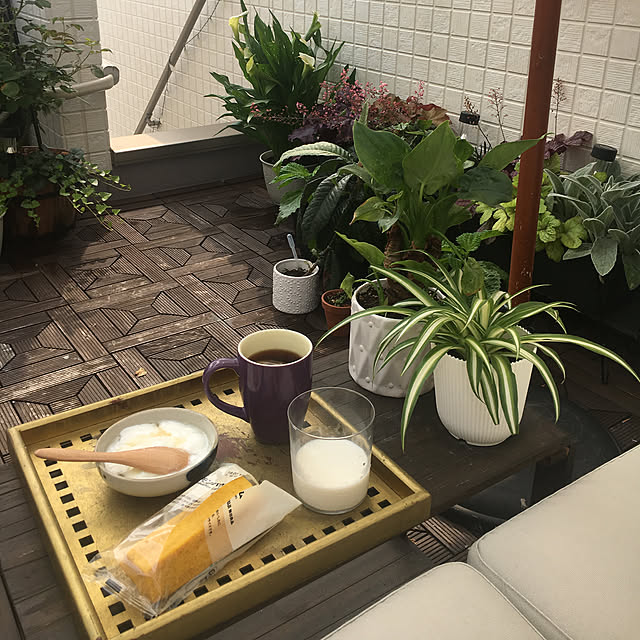 sasaさんの実例写真
