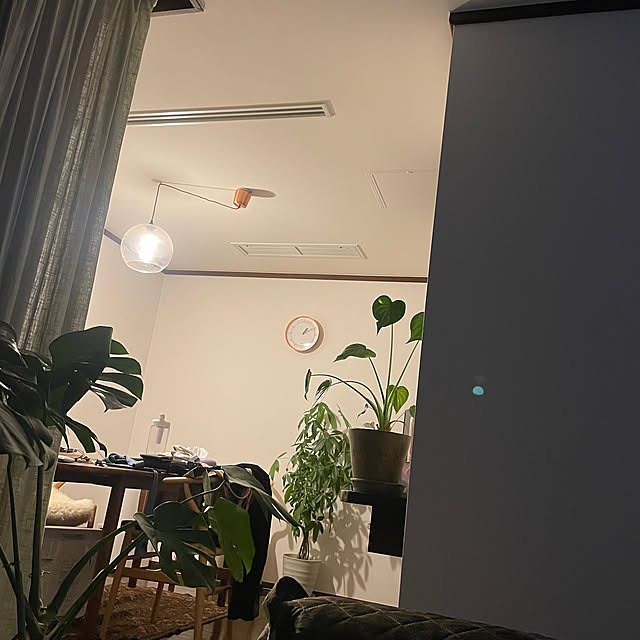 michiさんの実例写真