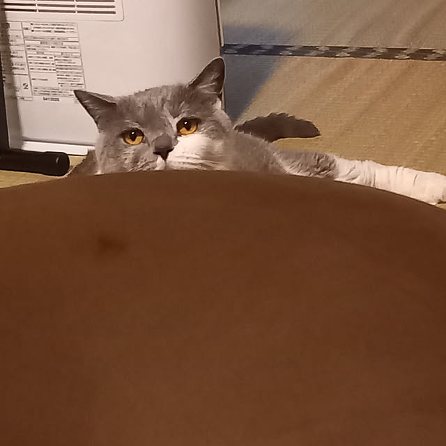 rhuさんの実例写真