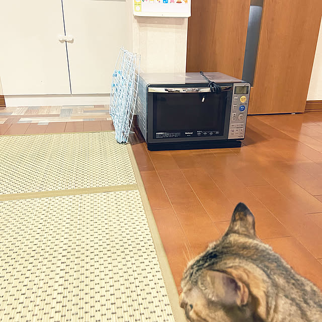 hansho.sさんの実例写真