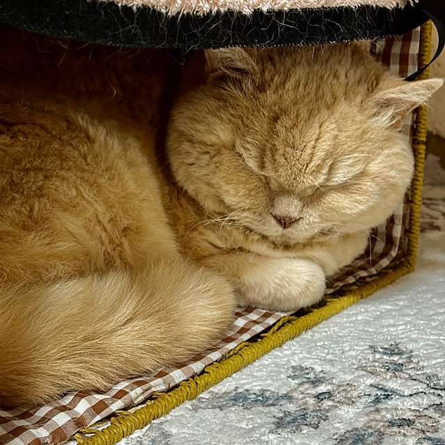 naokoさんの部屋