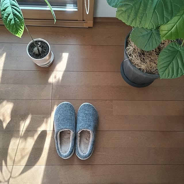 sakiさんの実例写真
