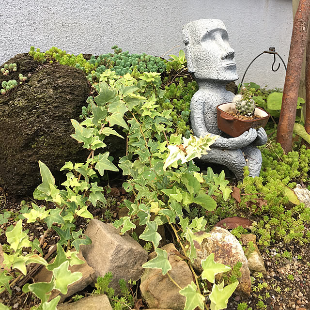 happy129さんの実例写真