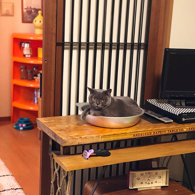 Shojiさんの実例写真