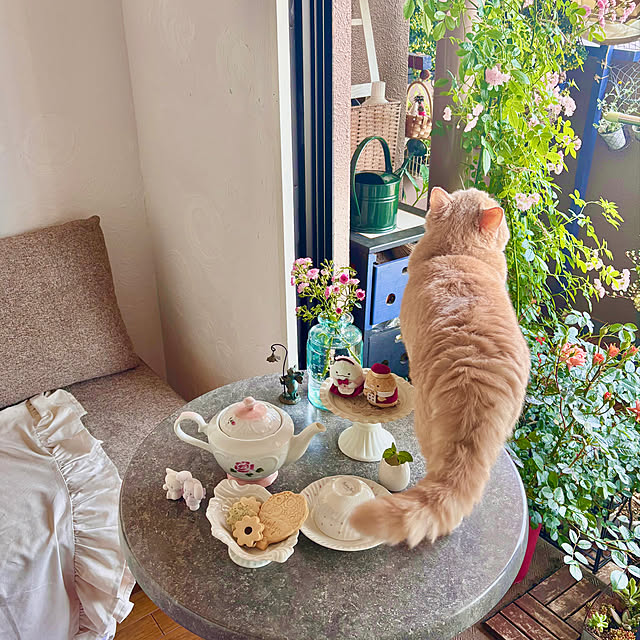 naokoさんの実例写真