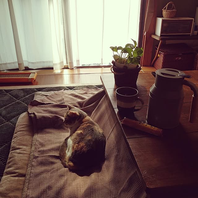 fukuさんの実例写真
