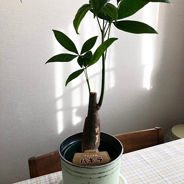 yaiyaiさんの実例写真