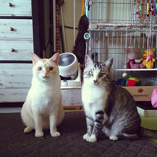 mntcさんの実例写真