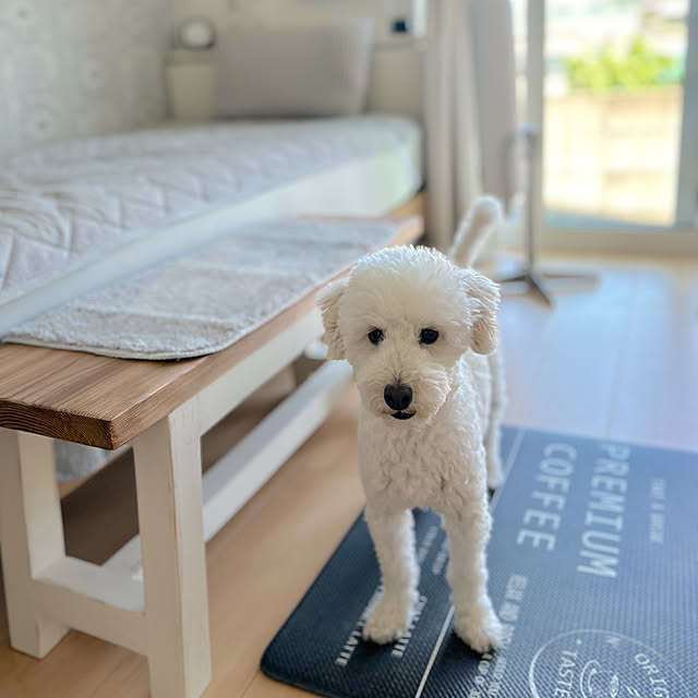 tintinさんの部屋